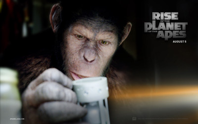 

Movie Rise Of The Planet Of The Apes HD Wallpaper Background Paper Print(12 inch X 18 inch, Rolled)
