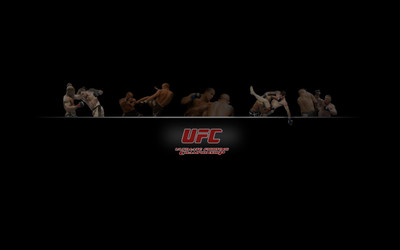 

Sports Mma Mixed Martial Ultimate Fighting Championship HD Wall Poster Paper Print(12 inch X 18 inch, Rolled)