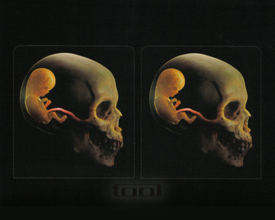 

-black-cross-eyes-dark-music-skulls-tool Wall Poster Paper Print(12 inch X 18 inch, Rolled)