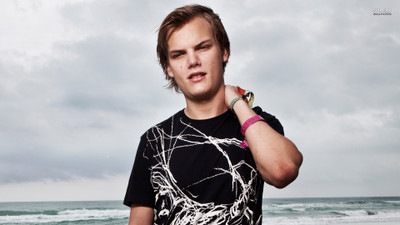 

Music Avicii DJ HD Wallpaper Background Fine Art Print(12 inch X 18 inch, Rolled)