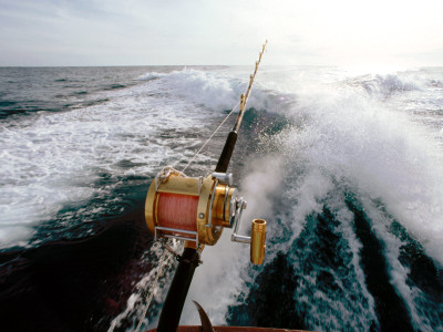 

Sports Fishing HD Wall Poster Paper Print(12 inch X 18 inch, Rolled)