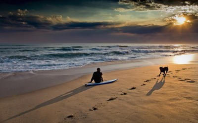 

Sports Surfing Wall Poster Paper Print(12 inch X 18 inch, Rolled)