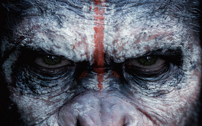 

Movie Dawn Of The Planet Of The Apes HD Wallpaper Background Paper Print(12 inch X 18 inch, Rolled)