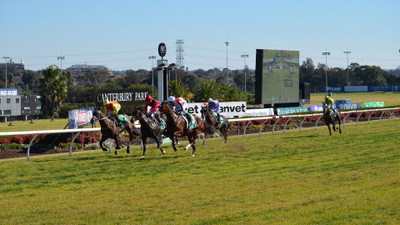 

Sports Horse Racing Original Animal Horse Race Racing Jockey Photography Races Wall Poster Paper Print(12 inch X 18 inch, Rolled)