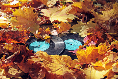 

Akhuratha Music Record Leaf Fall Wall Poster Fine Art Print(12 inch X 18 inch, Rolled)
