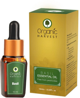 

Organic Harvest Basil Essential Oil(10 ml)