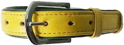 

INTEHA Dog Everyday Collar(, YELLOW
