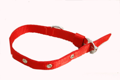 

jacky treats  Dog Collar & Leash(, Red