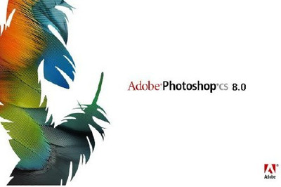 Adobe 8.0(12)