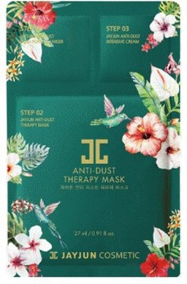 

Jayjun Anti Dust Therapy Mask(27 ml)