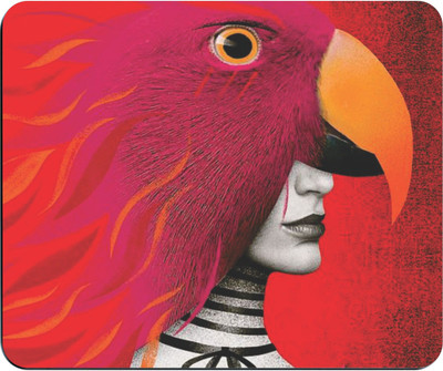 

PUSHP (INDIA) Mouse Pad-343 Mousepad(Multicolor)