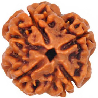 CLEAN GEMS Certified Natural Four Mukhi (4 face) Rudraksha With Lab Tested Certificate Wood Pendant