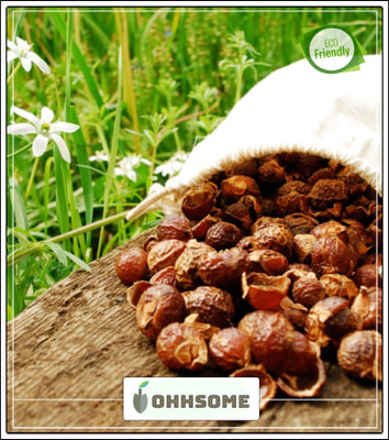 OhhSome Tree Seeds Kukudu-Kayalu, Kungititkaya, Kunkudu-Chettu Notched Leaf Soapnut Herb Seeds For Growing Tree Seeds Garden Pack Seed(10 per packet)