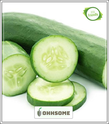 OhhSome Green Cucumber Seeds - Seeds Seed(20 per packet)