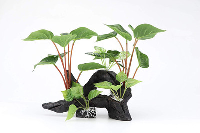 

Pets Empire Beautiful Realistic Aquarium Plant On Root 11.8"/30 cm high Aquarium Plant Anchor({Plant Anchors1)