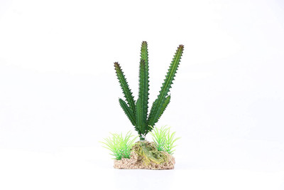

Pets Empire AQ-03(new) Aquarium Plant Anchor({Plant Anchors1)