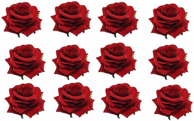 S R Enterprises fashion Red Rose Hair Flower Clip /Brooch Pin Hair Accessory Set(Red)