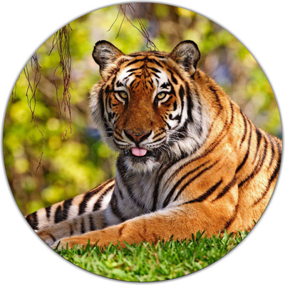 

PUSHP (INDIA) RMP365 Mousepad(Multicolor)