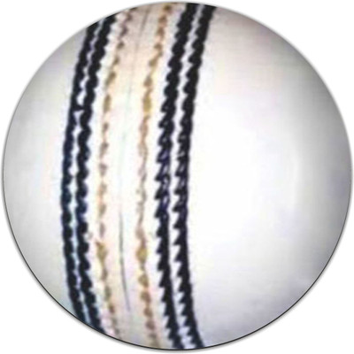 

PUSHP (INDIA) RMP348 Mousepad(Multicolor)