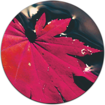 

PUSHP (INDIA) RMP317 Mousepad(Multicolor)