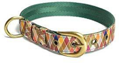 PetWale Dog Harness & Leash(, Multicolor