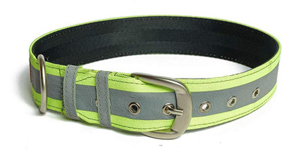 

PetWale Dog Harness & Leash(, Green
