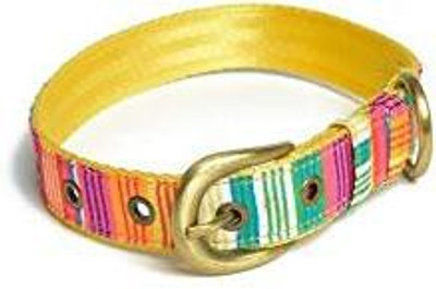 

PetWale Dog Harness & Leash(, Multicolor