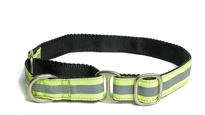 

PetWale Dog Harness & Leash(, Green
