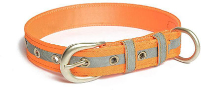 

PetWale Dog Harness & Leash(, Orange