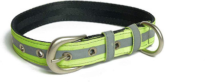 

PetWale Dog Harness & Leash(, Green