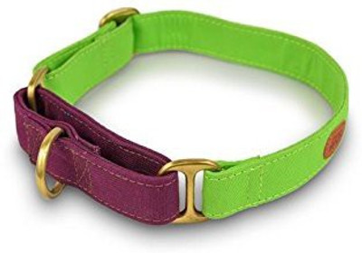 

PetWale Dog Harness & Leash(, Green