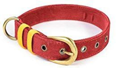

PetWale Dog Harness & Leash(, Red