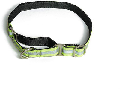 

PetWale Dog Harness & Leash(, Green