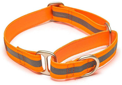 

PetWale Dog Harness & Leash(, Orange