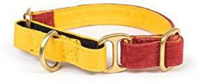 

PetWale Dog Harness & Leash(, Multicolor