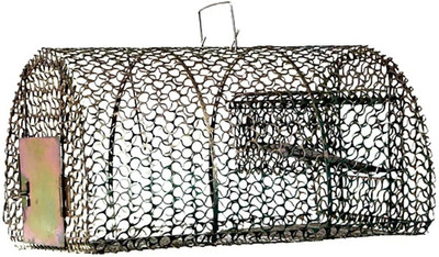 

dilrash live rat trap