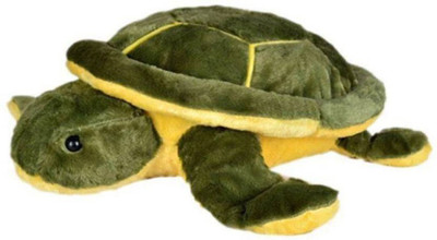

DHAMAN Green Color Tur-tur For the Kids . - 25 cm(Multicolor)