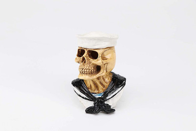 

Pets Empire Aquarium Decorations Skull in Hat, Skull Ornaments Hiding Place for Aquarium Fish Tank Laterite Unplanted Substrate(Multicolor)