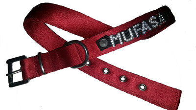 

PETS R KIDS Name Collar Dog & Cat Everyday Collar(, Red