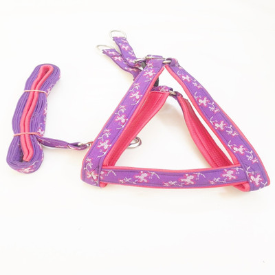 

Petsnhuman Full Body Belt Size 3/4 Inch Dog Harness & Leash(, Multicolor