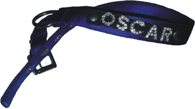 

PETS R KIDS Name Collar Dog & Cat Everyday Collar(, Blue