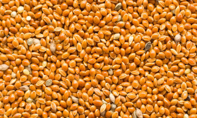 AlfaMax BBPF0071 1 kg Dry Bird Food