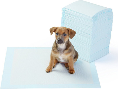 

24x7eMall Puppy Training Pad ~ Pee Pads Ideal for House Breaking and Potty Training (Regular 45 X 60 CMS, 100) Dog Pet Mat