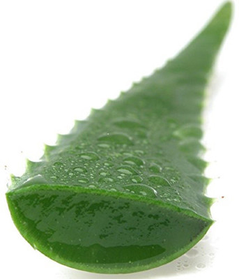 

YakoToko Aloe Vera Natural Organic Herbal Leaves(500 g)