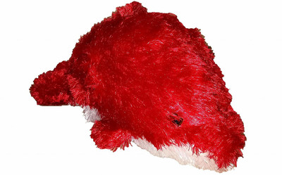 

RGB GROUP Dolphin Soft Toy Premium - 20 cm(Red)