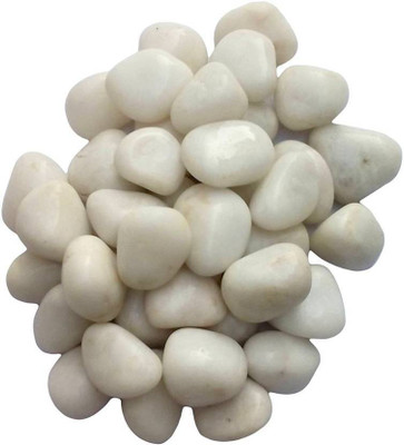 

Green Plant Indoor Aquarium007 River Rock Unplanted Substrate(White)