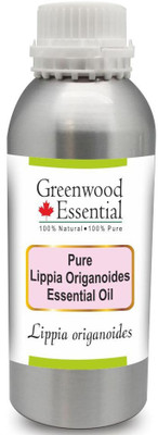 

Greenwood Essential Pure Lippia Origanoides Essential Oil (Lippia origanoides) 100% Natural Therapeutic Grade Steam Distilled(1250 ml)