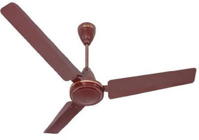 

Havells ss-390 -01 3 Blade Ceiling Fan(Maroon, Pack of 1), Brown