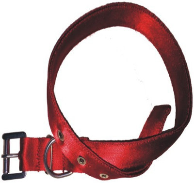 

PETS R KIDS Neck Collar Dog Everyday Collar(, Red