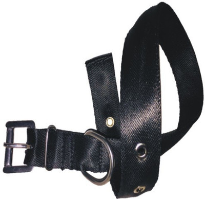 

PETS R KIDS Neck Collar Dog Everyday Collar(, Black